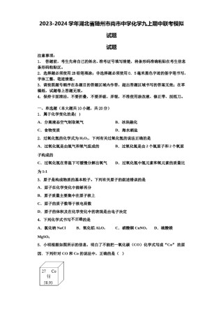 2023-2024学年湖北省随州市尚市中学化学九上期中联考模拟试题含解析.doc