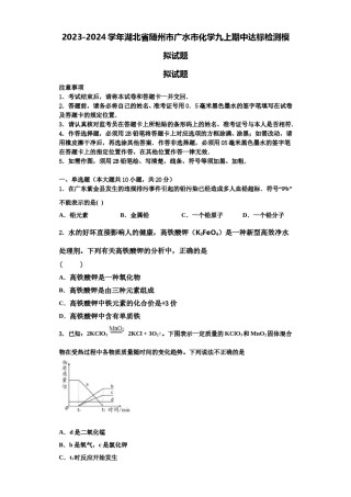 2023-2024学年湖北省随州市广水市化学九上期中达标检测模拟试题含解析.doc