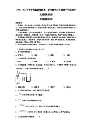 2023-2024学年湖北省随州市广水市化学九年级第一学期期中监测模拟试题含解析.doc