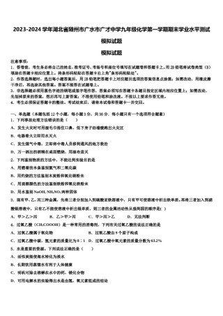 2023-2024学年湖北省随州市广水市广才中学九年级化学第一学期期末学业水平测试模拟试题含解析.doc