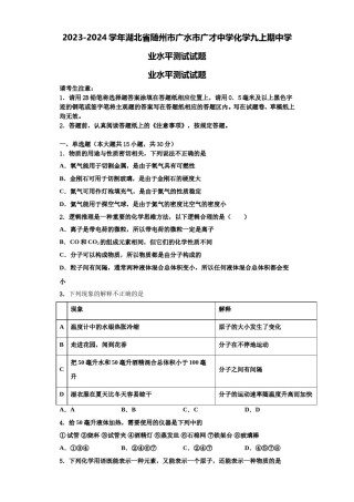 2023-2024学年湖北省随州市广水市广才中学化学九上期中学业水平测试试题含解析.doc