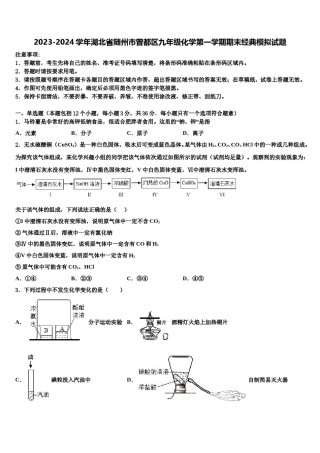 2023-2024学年湖北省随州市曾都区九年级化学第一学期期末经典模拟试题含解析.doc