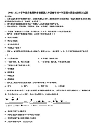 2023-2024学年湖北省随州市曾都区九年级化学第一学期期末质量检测模拟试题含解析.doc