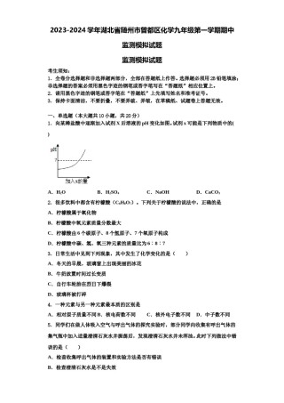 2023-2024学年湖北省随州市曾都区化学九年级第一学期期中监测模拟试题含解析.doc