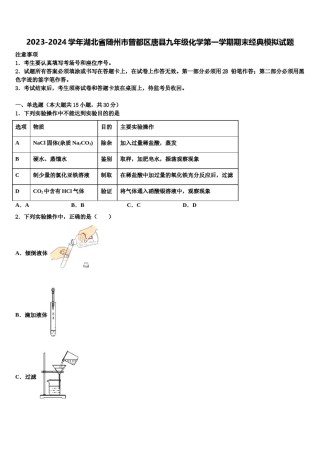 2023-2024学年湖北省随州市曾都区唐县九年级化学第一学期期末经典模拟试题含解析.doc