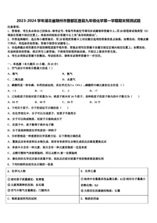 2023-2024学年湖北省随州市曾都区唐县九年级化学第一学期期末预测试题含解析.doc