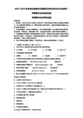 2023-2024学年湖北省随州市曾都区实验中学化学九年级第一学期期中达标测试试题含解析.doc