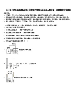 2023-2024学年湖北省随州市曾都区实验中学化学九年级第一学期期末联考试题含解析.doc