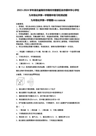 2023-2024学年湖北省随州市随州市曾都区尚市镇中学心学校九年级化学第一学期期中复习检测试题含解析.doc