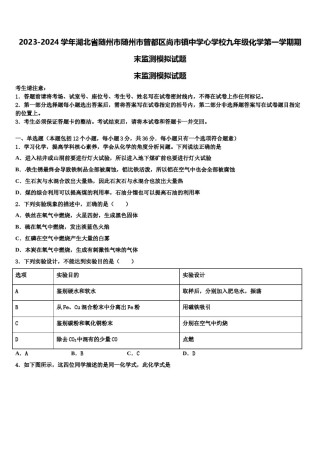 2023-2024学年湖北省随州市随州市曾都区尚市镇中学心学校九年级化学第一学期期末监测模拟试题含解析.doc