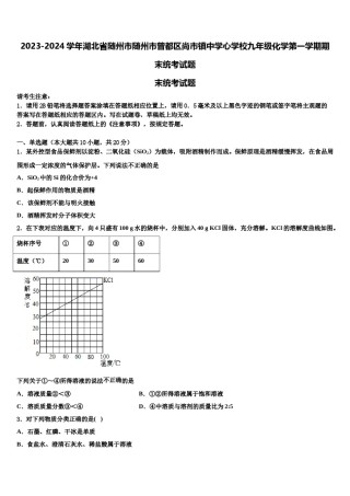 2023-2024学年湖北省随州市随州市曾都区尚市镇中学心学校九年级化学第一学期期末统考试题含解析.doc