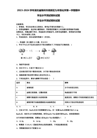 2023-2024学年湖北省随州市高新区九年级化学第一学期期中学业水平测试模拟试题含解析.doc