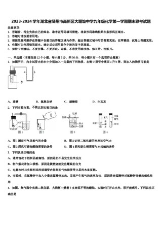 2023-2024学年湖北省随州市高新区大堰坡中学九年级化学第一学期期末联考试题含解析.doc