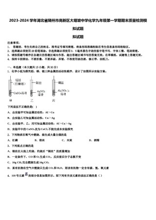 2023-2024学年湖北省随州市高新区大堰坡中学化学九年级第一学期期末质量检测模拟试题含解析.doc