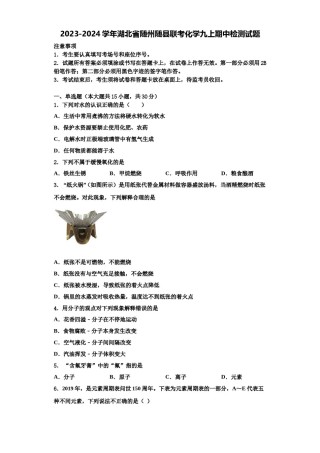 2023-2024学年湖北省随州随县联考化学九上期中检测试题含解析.doc
