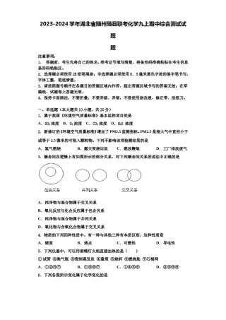 2023-2024学年湖北省随州随县联考化学九上期中综合测试试题含解析.doc