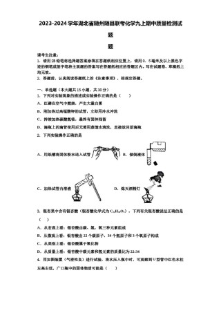 2023-2024学年湖北省随州随县联考化学九上期中质量检测试题含解析.doc
