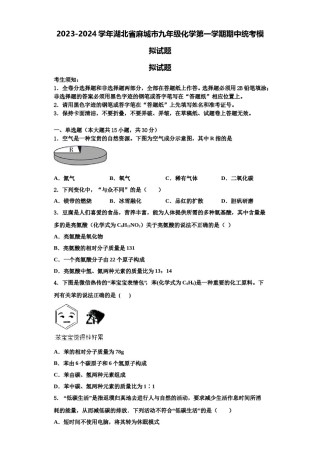 2023-2024学年湖北省麻城市九年级化学第一学期期中统考模拟试题含解析.doc