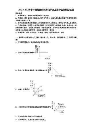 2023-2024学年湖北省麻城市化学九上期中监测模拟试题含解析.doc