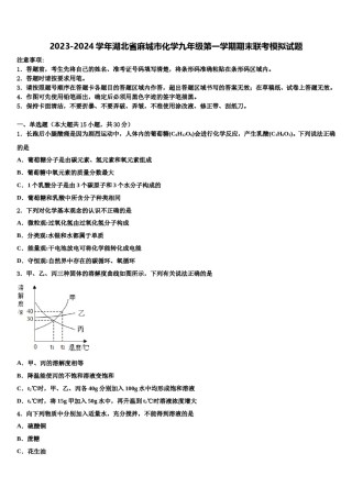 2023-2024学年湖北省麻城市化学九年级第一学期期末联考模拟试题含解析.doc