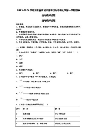 2023-2024学年湖北省麻城思源学校九年级化学第一学期期中统考模拟试题含解析.doc
