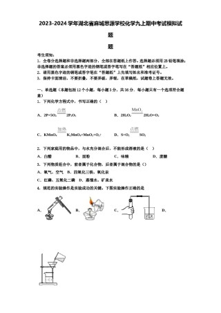 2023-2024学年湖北省麻城思源学校化学九上期中考试模拟试题含解析.doc