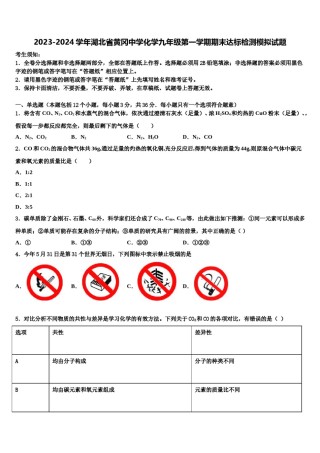 2023-2024学年湖北省黄冈中学化学九年级第一学期期末达标检测模拟试题含解析.doc