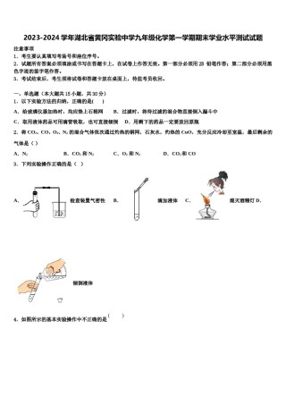 2023-2024学年湖北省黄冈实验中学九年级化学第一学期期末学业水平测试试题含解析.doc