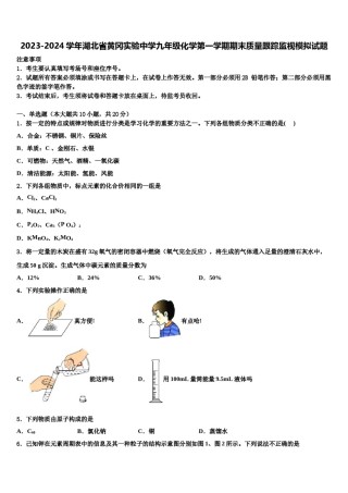 2023-2024学年湖北省黄冈实验中学九年级化学第一学期期末质量跟踪监视模拟试题含解析.doc