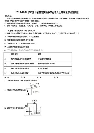 2023-2024学年湖北省黄冈实验中学化学九上期末达标检测试题含解析.doc
