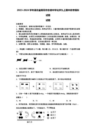 2023-2024学年湖北省黄冈市东坡中学化学九上期中统考模拟试题含解析.doc