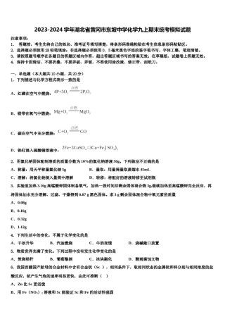 2023-2024学年湖北省黄冈市东坡中学化学九上期末统考模拟试题含解析.doc