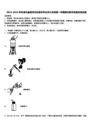2023-2024学年湖北省黄冈市东坡中学化学九年级第一学期期末教学质量检测试题含解析.doc