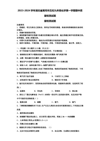 2023-2024学年湖北省黄冈市五校九年级化学第一学期期中质量检测试题含解析.doc