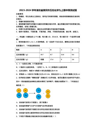 2023-2024学年湖北省黄冈市五校化学九上期中预测试题含解析.doc