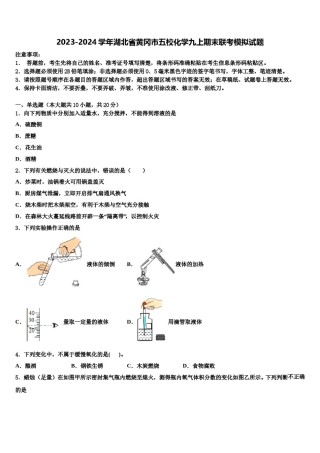 2023-2024学年湖北省黄冈市五校化学九上期末联考模拟试题含解析.doc