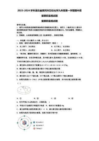 2023-2024学年湖北省黄冈市五校化学九年级第一学期期中质量跟踪监视试题含解析.doc