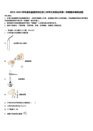 2023-2024学年湖北省黄冈市红安二中学九年级化学第一学期期末调研试题含解析.doc