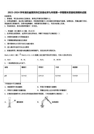 2023-2024学年湖北省黄冈市红安县化学九年级第一学期期末质量检测模拟试题含解析.doc