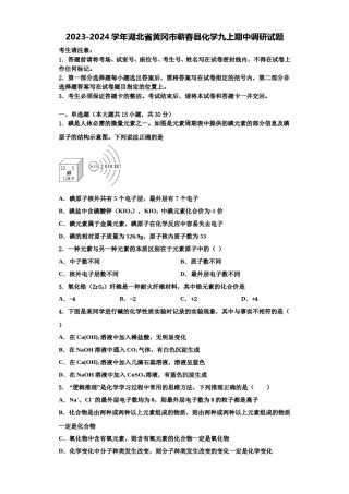 2023-2024学年湖北省黄冈市蕲春县化学九上期中调研试题含解析.doc