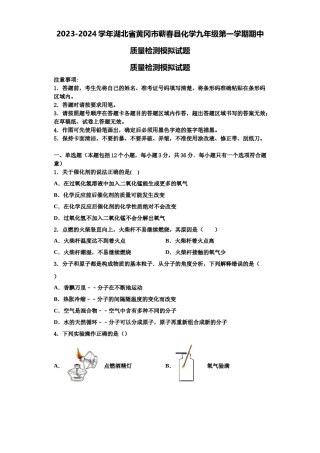 2023-2024学年湖北省黄冈市蕲春县化学九年级第一学期期中质量检测模拟试题含解析.doc