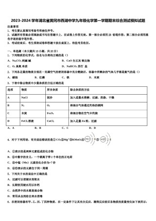 2023-2024学年湖北省黄冈市西湖中学九年级化学第一学期期末综合测试模拟试题含解析.doc