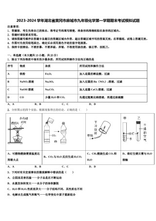 2023-2024学年湖北省黄冈市麻城市九年级化学第一学期期末考试模拟试题含解析.doc