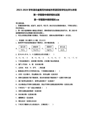 2023-2024学年湖北省黄冈市麻城市思源实验学校化学九年级第一学期期中调研模拟试题含解析.doc