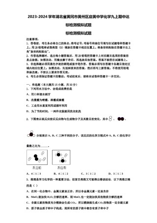 2023-2024学年湖北省黄冈市黄州区启黄中学化学九上期中达标检测模拟试题含解析.doc