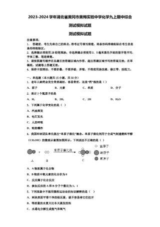 2023-2024学年湖北省黄冈市黄梅实验中学化学九上期中综合测试模拟试题含解析.doc