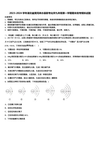 2023-2024学年湖北省黄冈浠水县联考化学九年级第一学期期末统考模拟试题含解析.doc