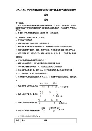 2023-2024学年湖北省黄冈麻城市化学九上期中达标检测模拟试题含解析.doc