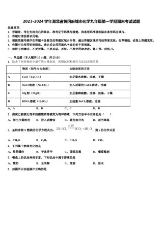 2023-2024学年湖北省黄冈麻城市化学九年级第一学期期末考试试题含解析.doc