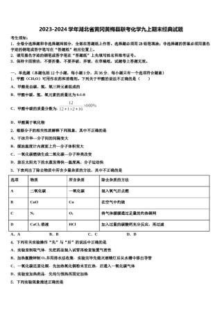 2023-2024学年湖北省黄冈黄梅县联考化学九上期末经典试题含解析.doc